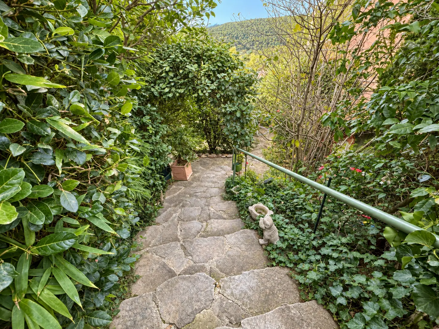 Vue sur les collines depuis le jardin