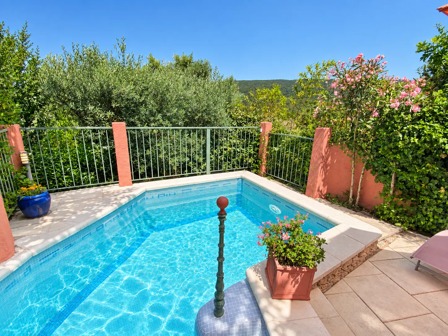 Piscine et lauriers-roses