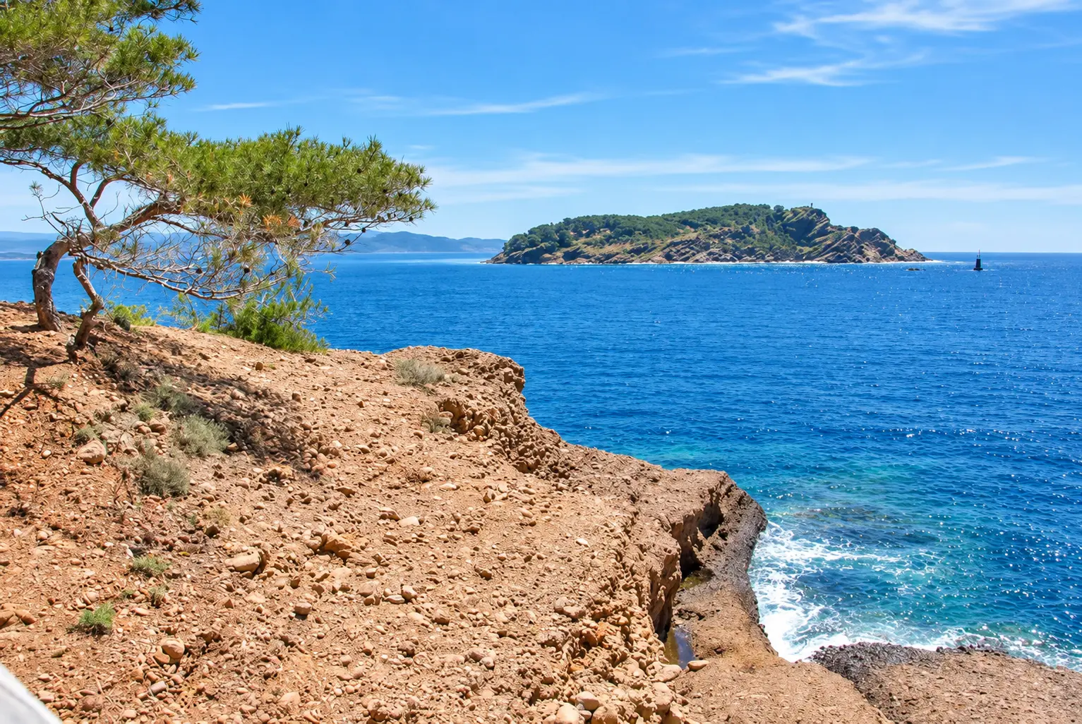 La route du littoral sous les pins