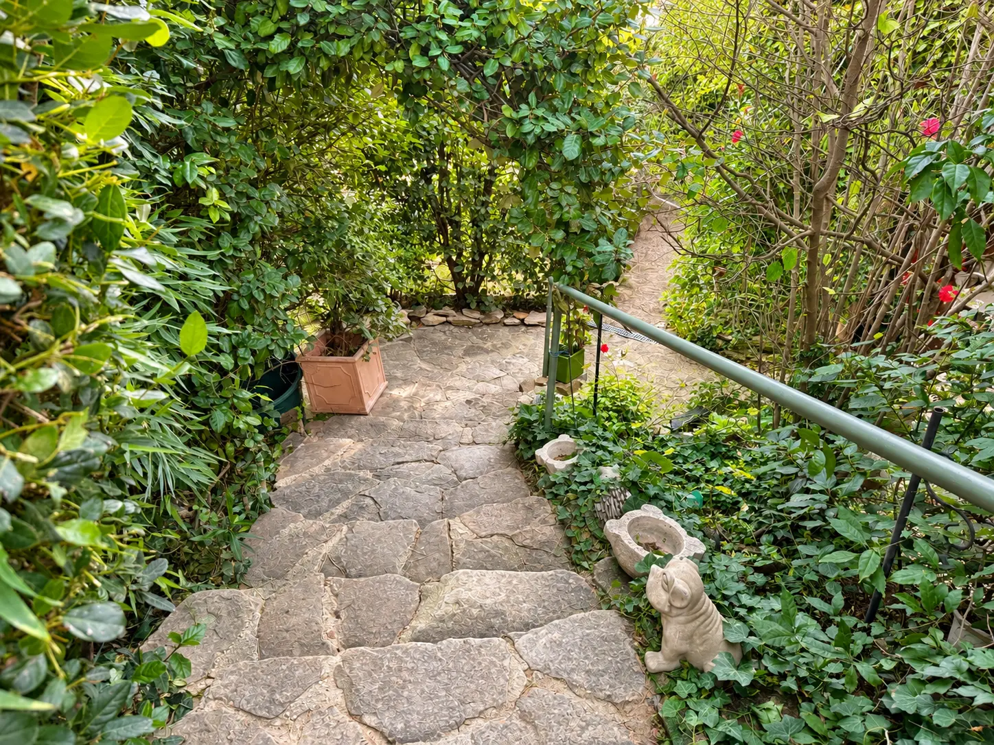 Les escaliers du jardin